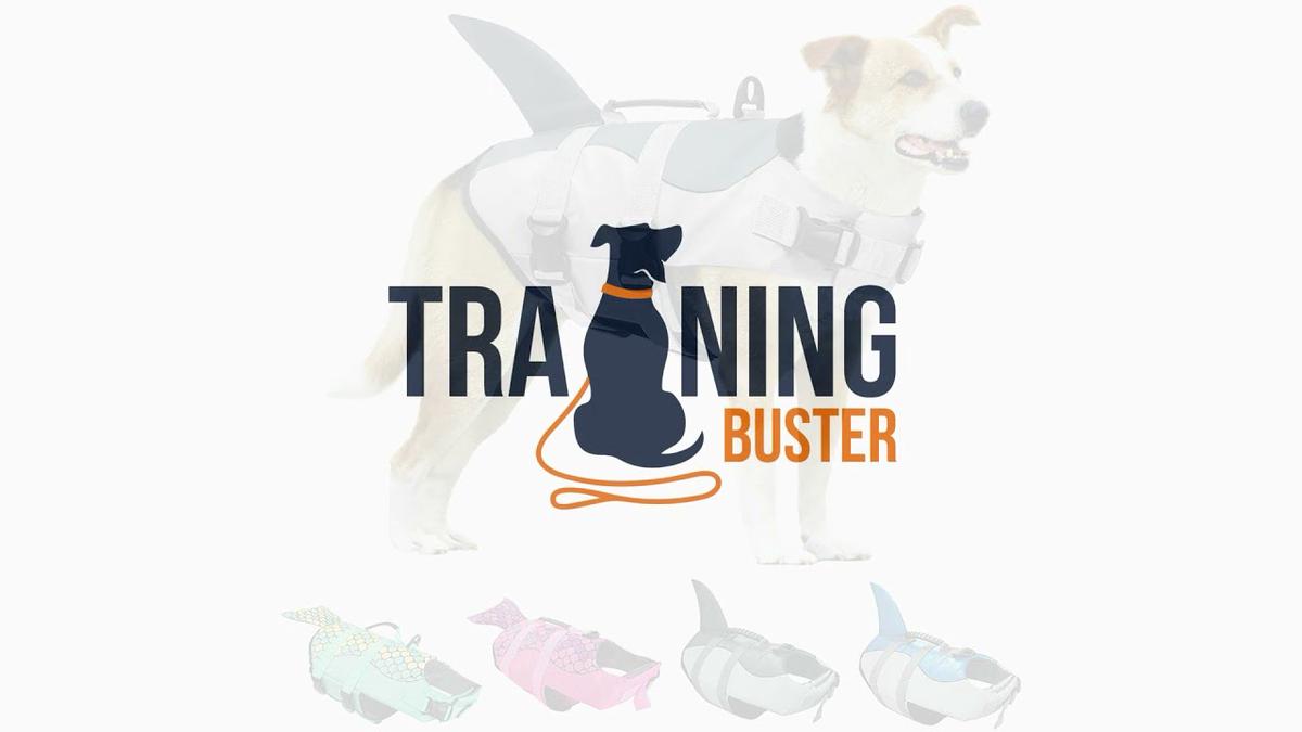 'Video thumbnail for Best Life Vests For a Small Dogs'